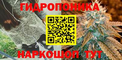 трава Абинск