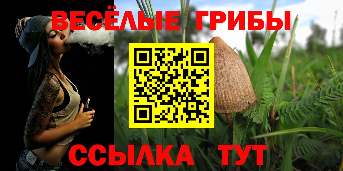 Псилоцибиновые грибы Psilocybine cubensis Альметьевск