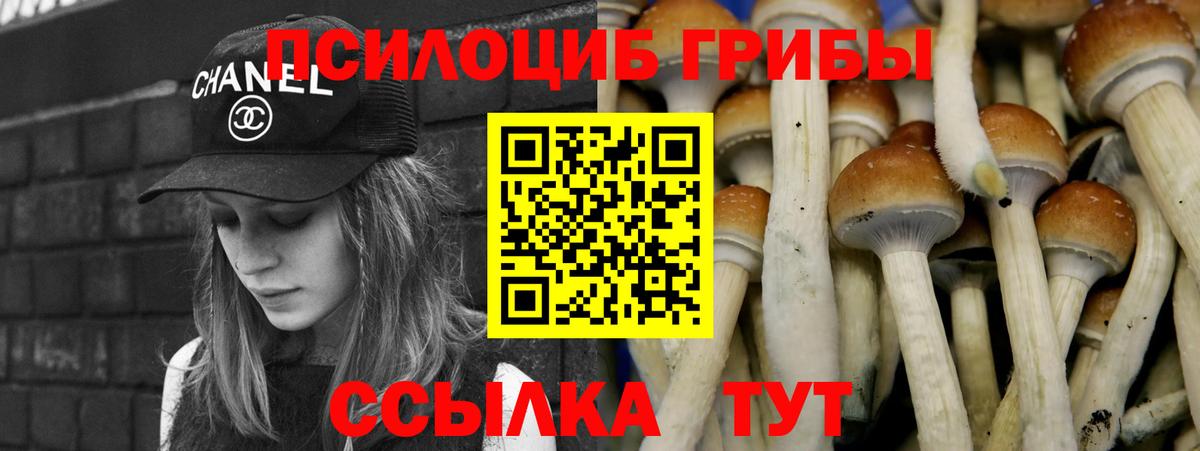 Псилоцибиновые грибы Cubensis  Вход с VPN  Альметьевск 